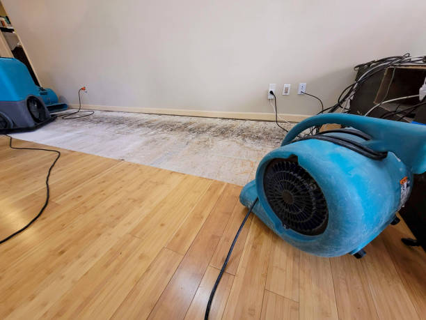 Professional Sewage Cleanup technician working in Bradford, OH